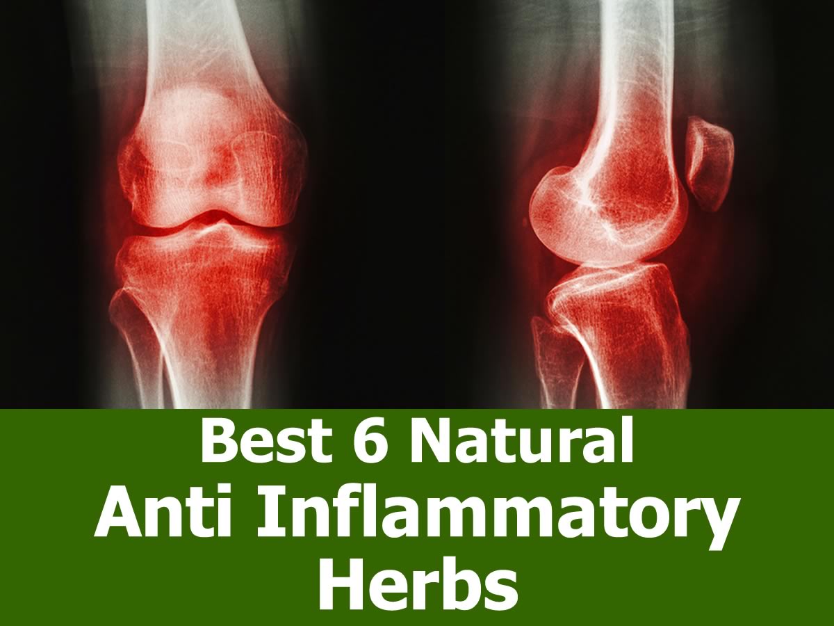 Natural Antiinflammatory 47