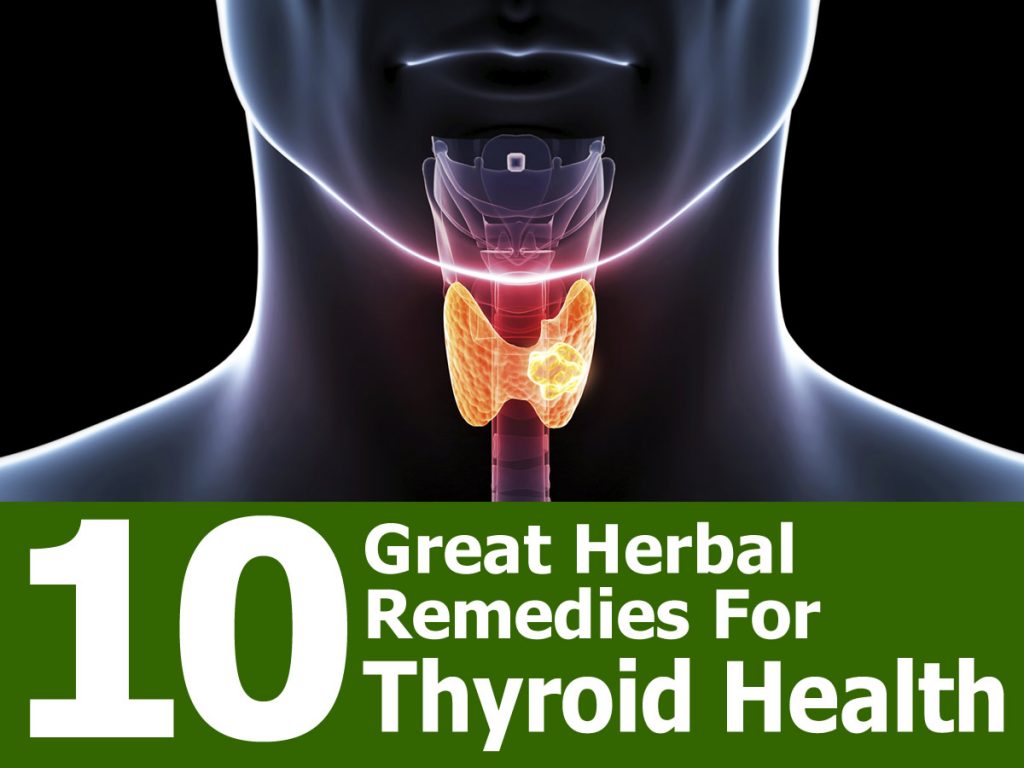 10 Great Herbal Reme S For Thyroid Health